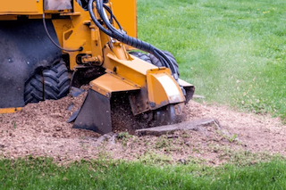 Stump Grinding